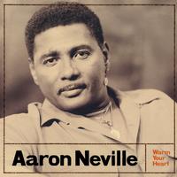 Aaron Neville - It Feels Like Rain (unofficial Instrumental) 无和声伴奏