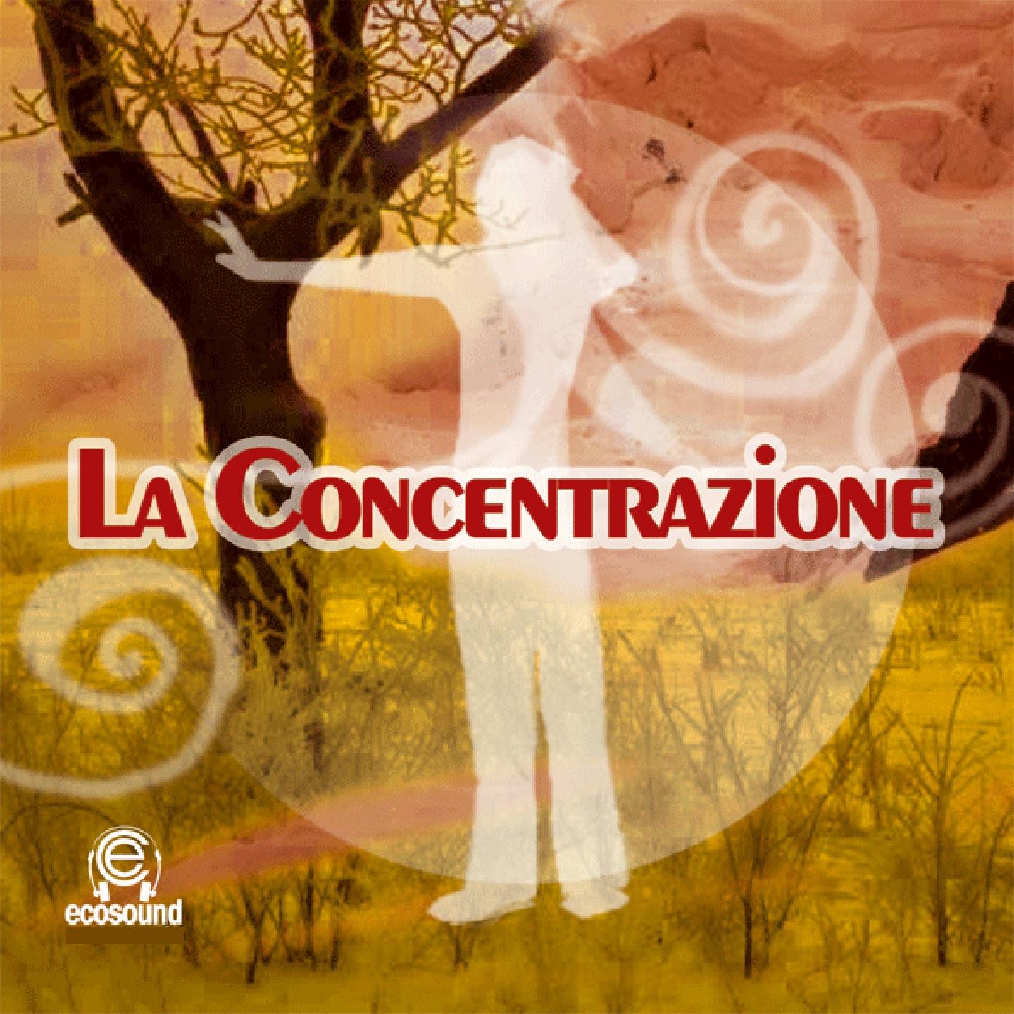 Musica per la concentrazione