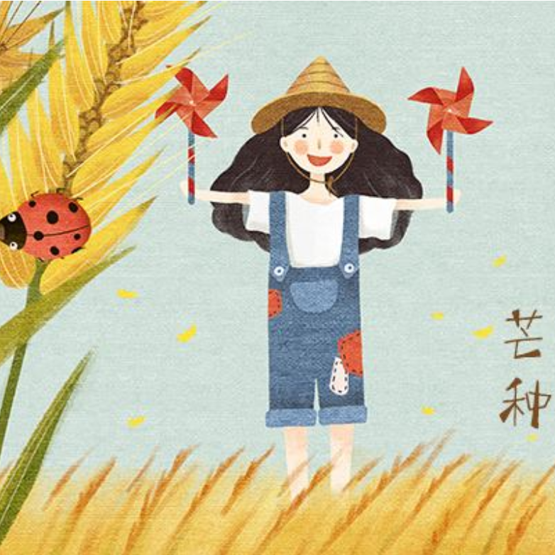 芒种