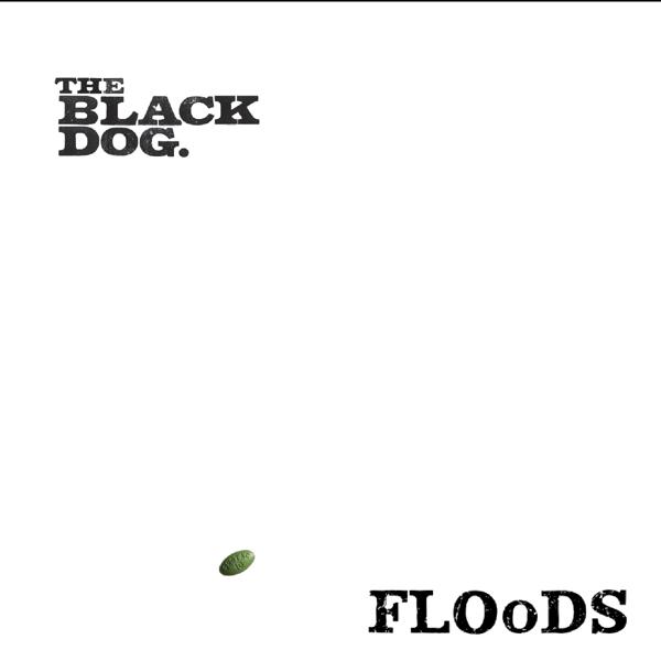 Floods