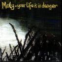 Your Life Is On Danger专辑