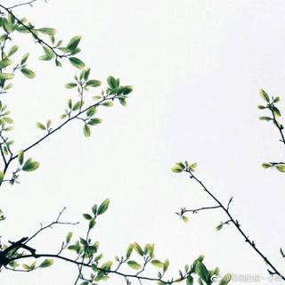 城南旧事中的民国风韵