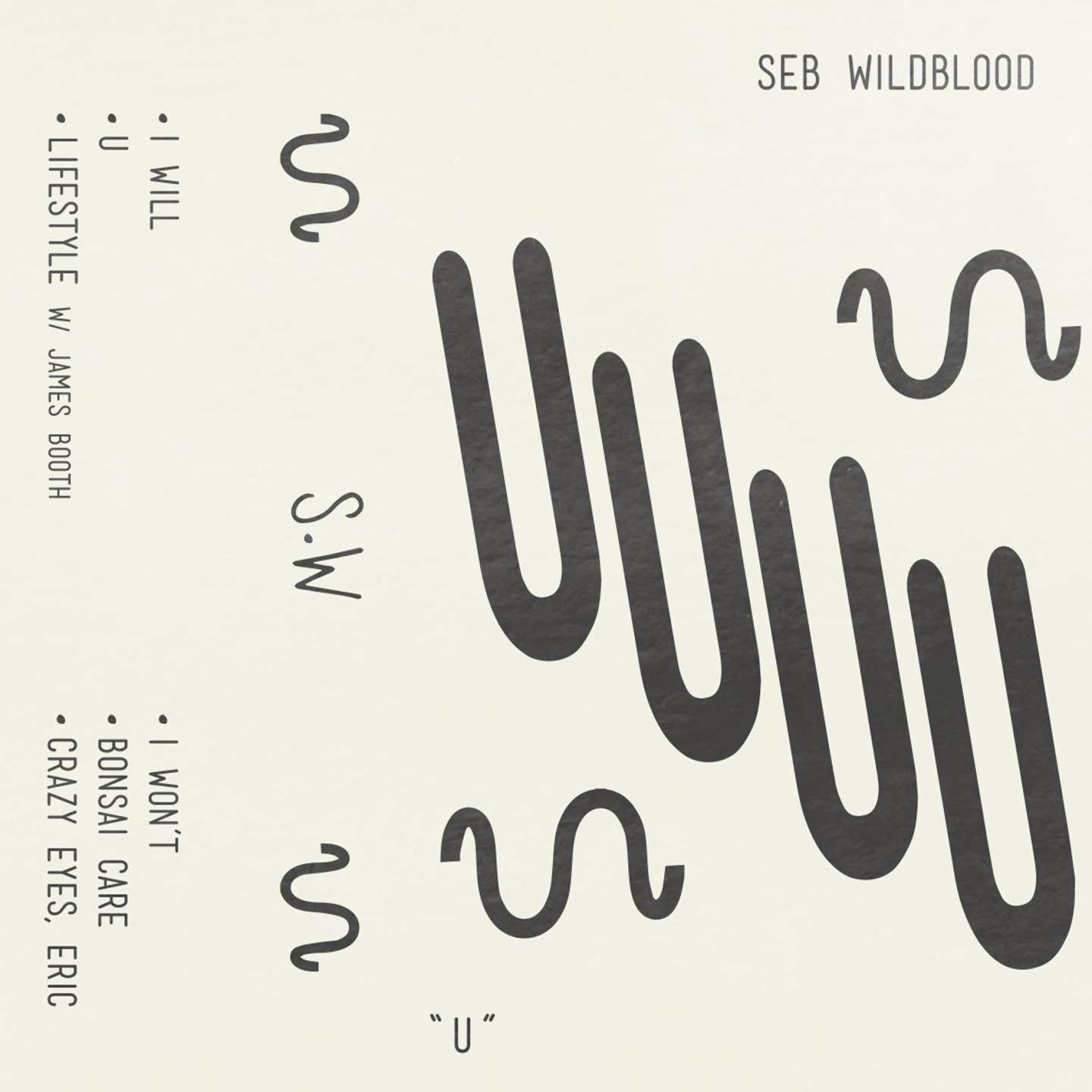 Seb Wildblood - I Will