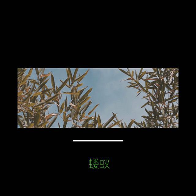 猫的树