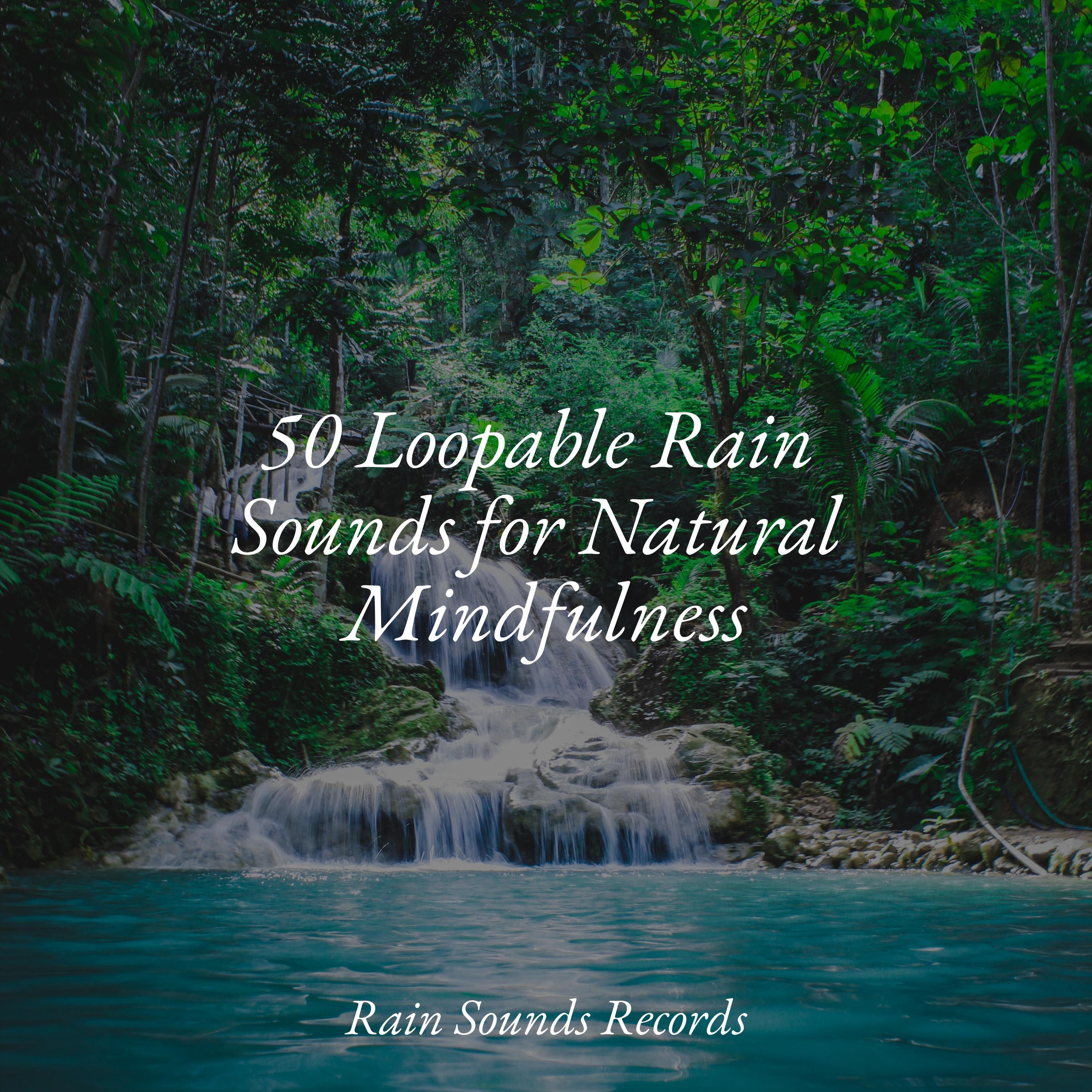 50 Loopable Rain Sounds for Natural Mindfulness - Relaxing Mindfulness ...