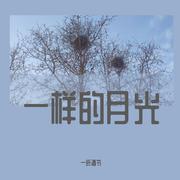 一样的月光呀～