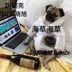 海草舞DJ版专辑