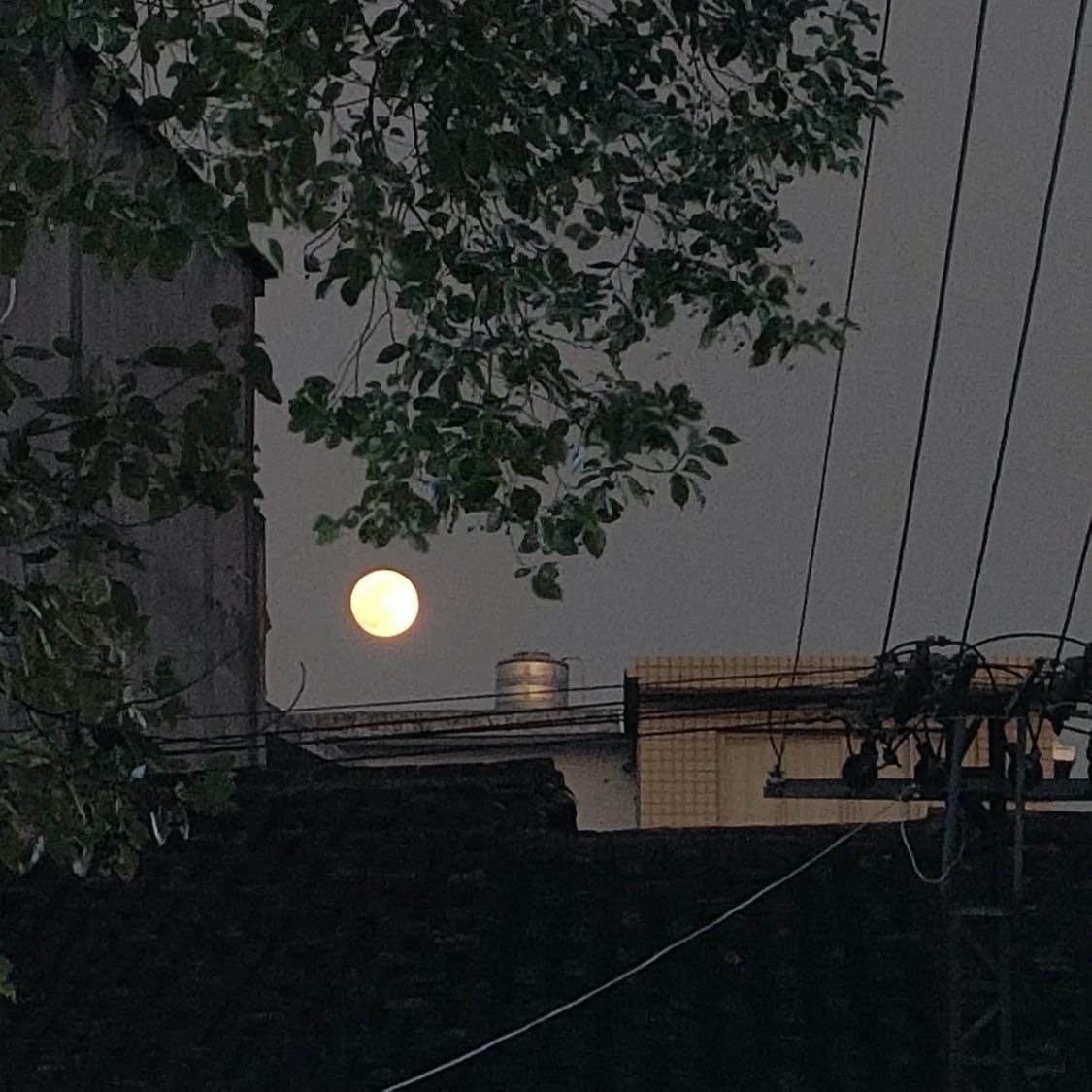 我梦想自由贯穿一生