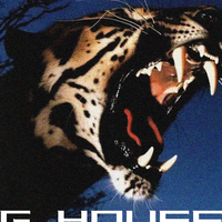 Vidrado Em Voce (JENNIE Miami Bass Edit)