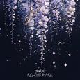 紫藤花