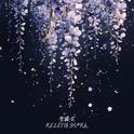 紫藤花专辑
