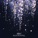 紫藤花专辑