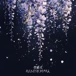 紫藤花专辑