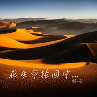 在生命轮回中找到你
