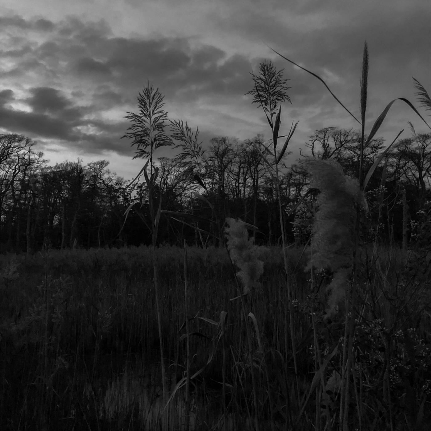 The Strange Demeanor of Solitude (Alternate Version)
