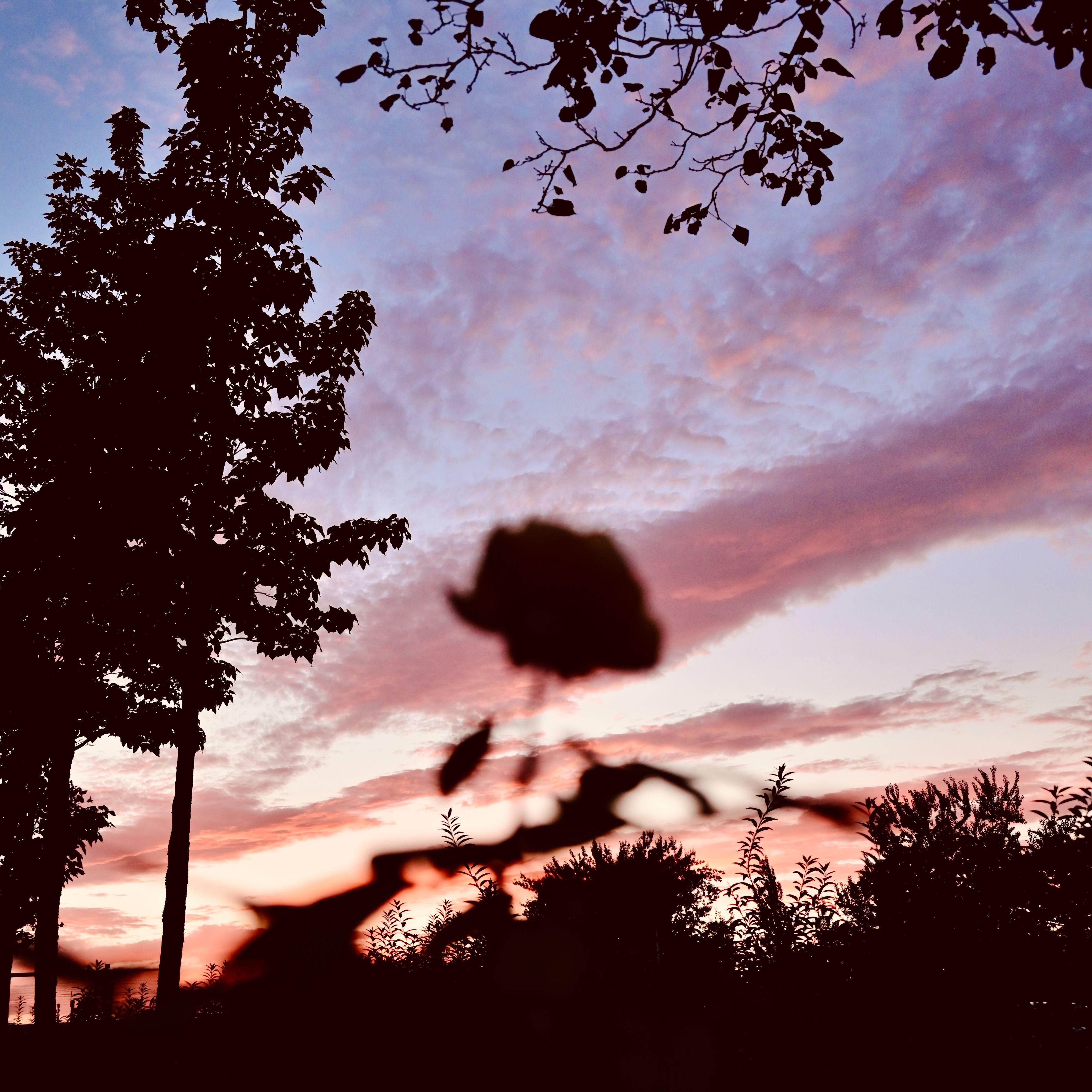 遇见你是我这一生最浪漫的瞬间