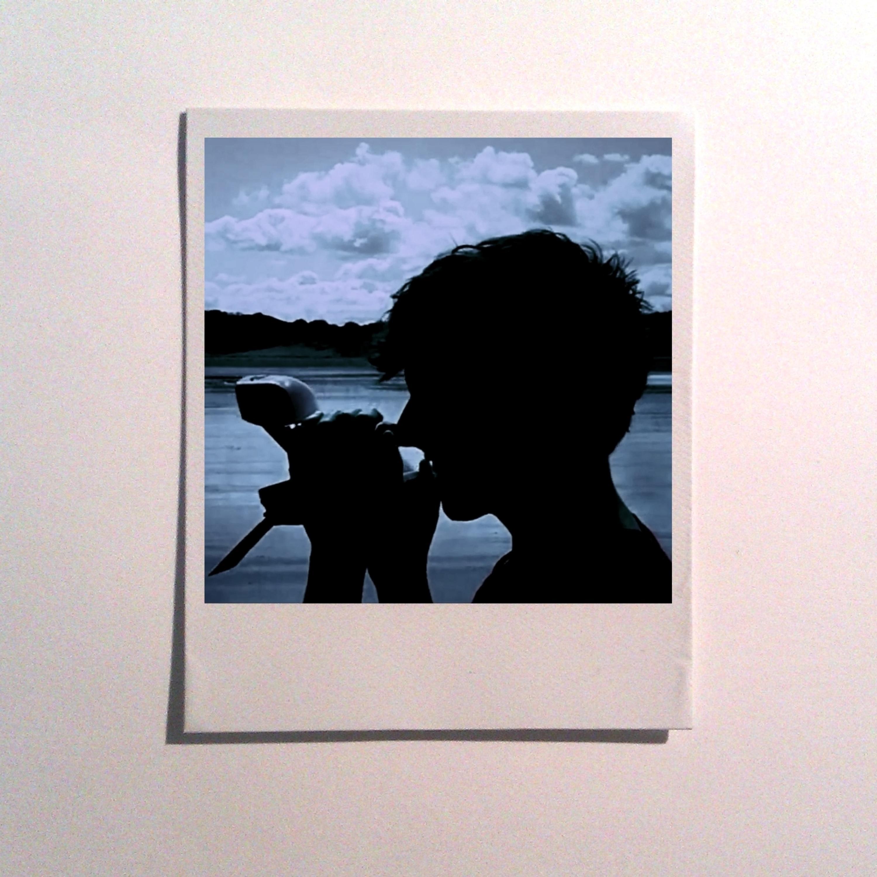 Silhouettes/Photographs