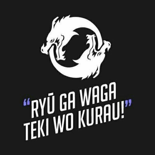 刺激战场专用战歌