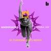 Rayana Jay - Undefeated (DJ Diamond Kuts Remix)