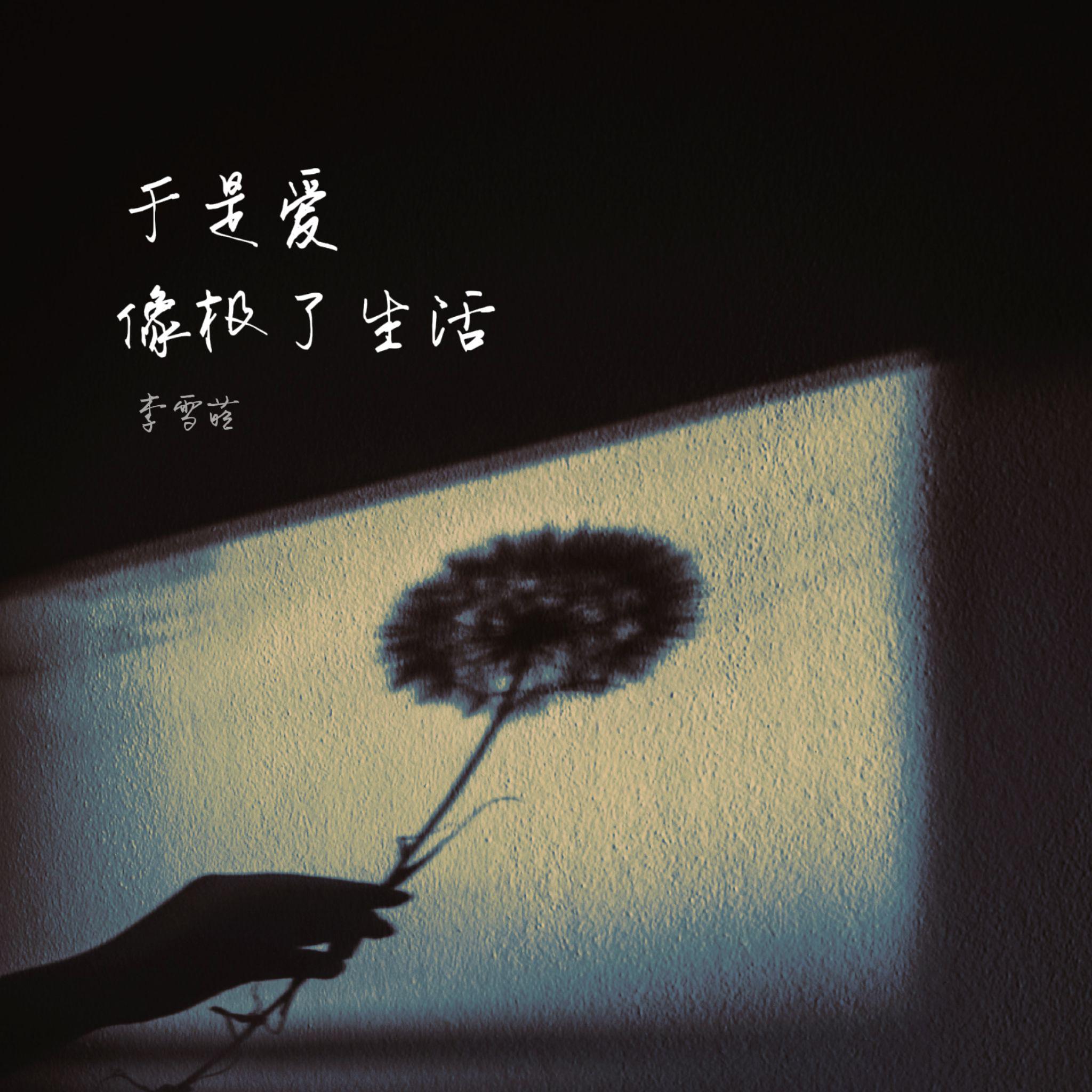 李雪萌歌曲封面