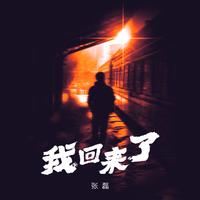 我回来了 (原版立体声)