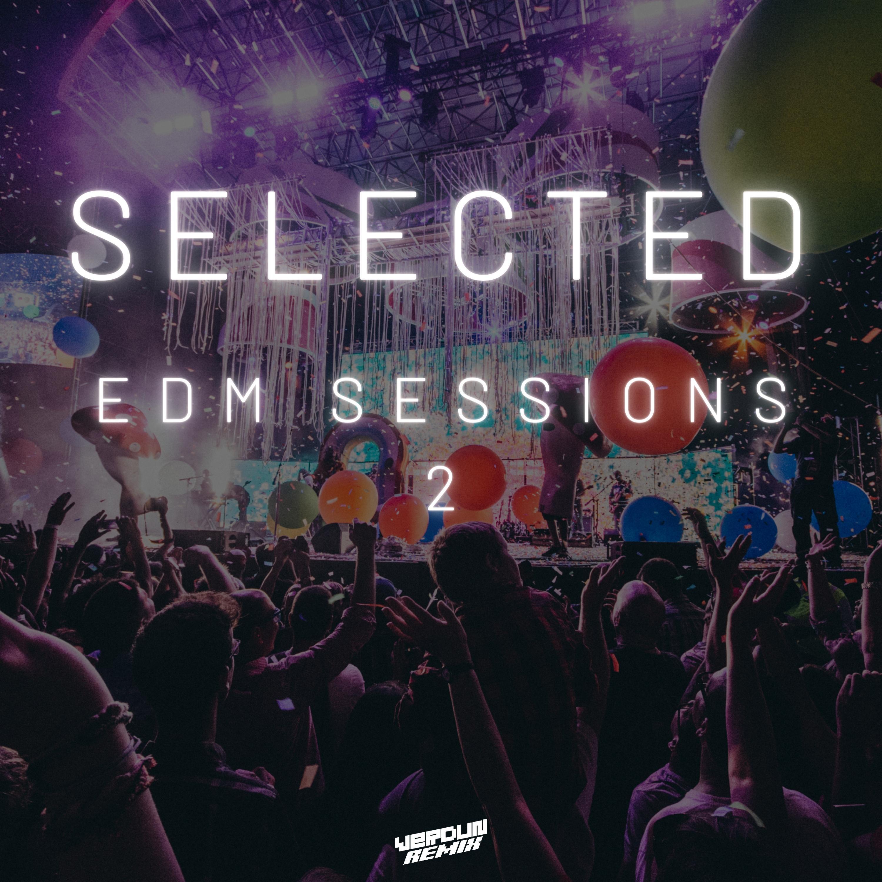 Selected EDM Sessions 2 (Remix)
