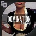 Domination (Beatjunkx Remix) 专辑