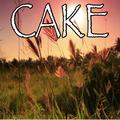 Cake - Tribute to Flo Rida and 99 Percent