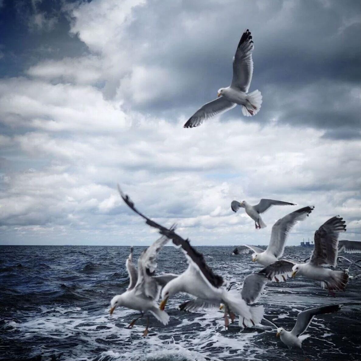 LinKin Park-In The End（老何 remix）