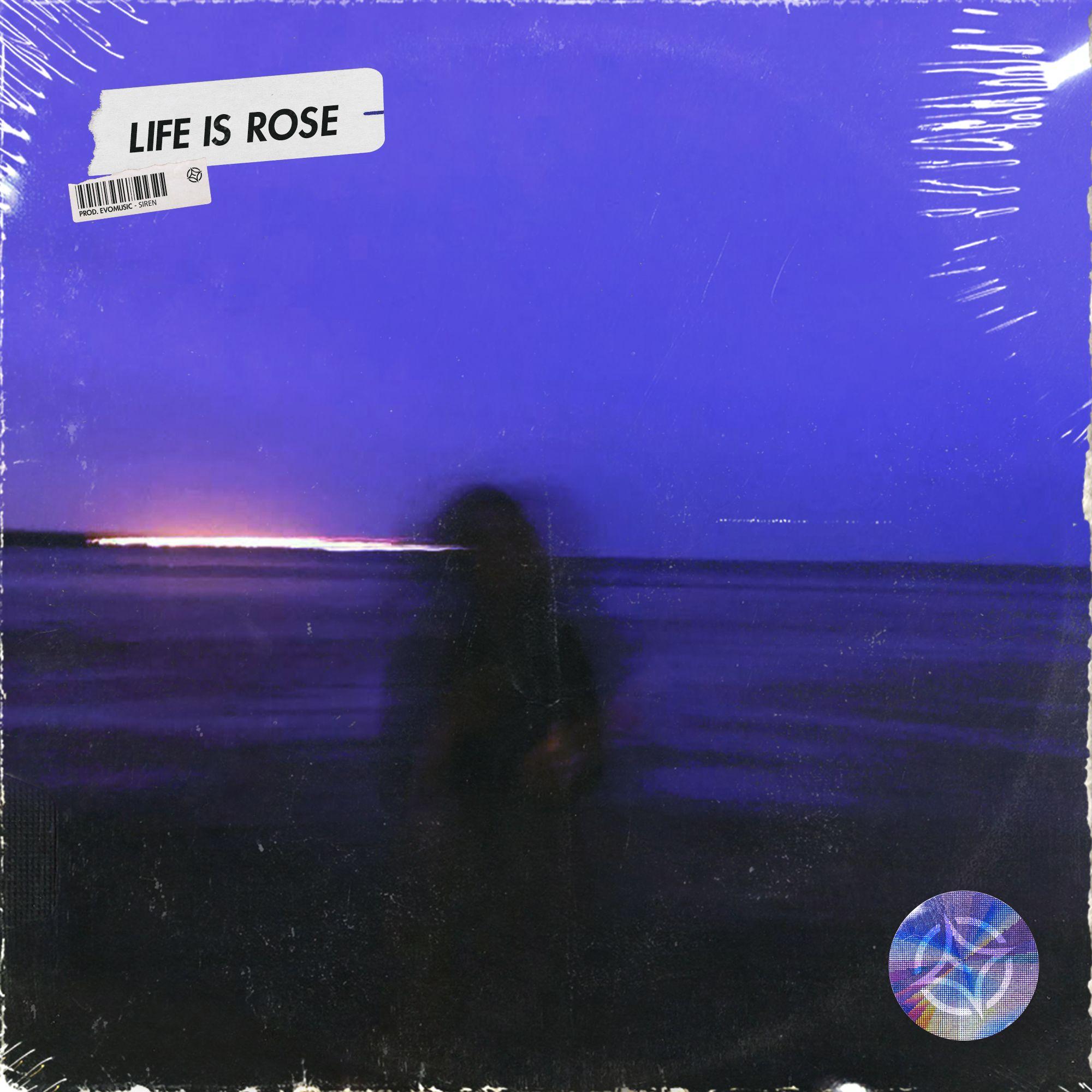 Free Sad Type Beat - "Life is rose"