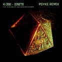 Alan Walker & K-391 - Ignite (Psyke Remix)专辑