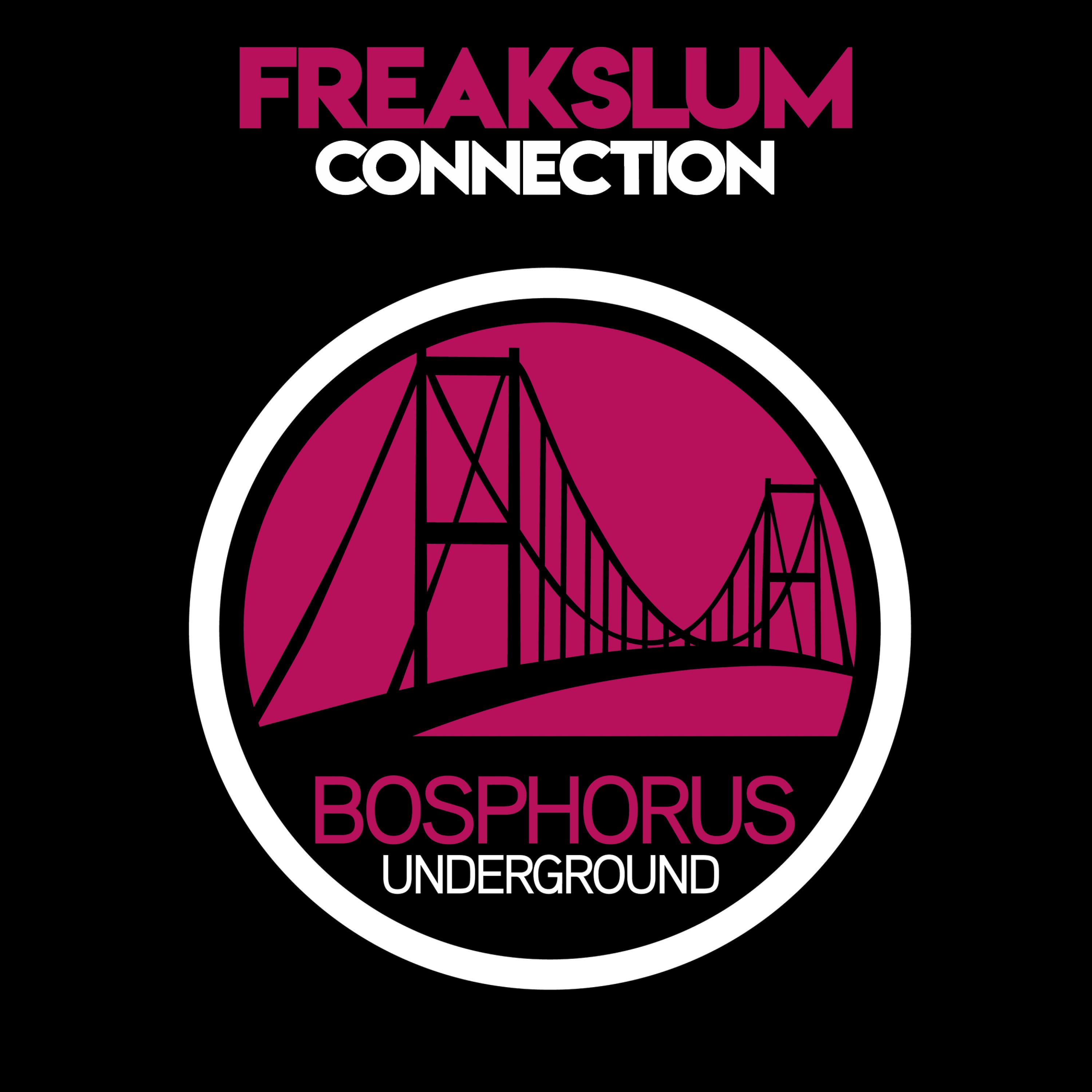 Freakslum - PQD (Original Mix)