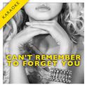 Can't Remember to Forget You (Karaoke Version) - Single专辑