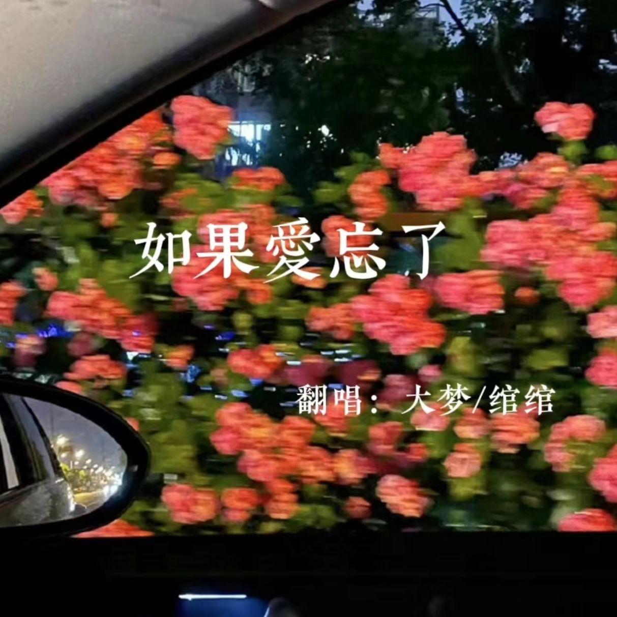 如果爱忘了