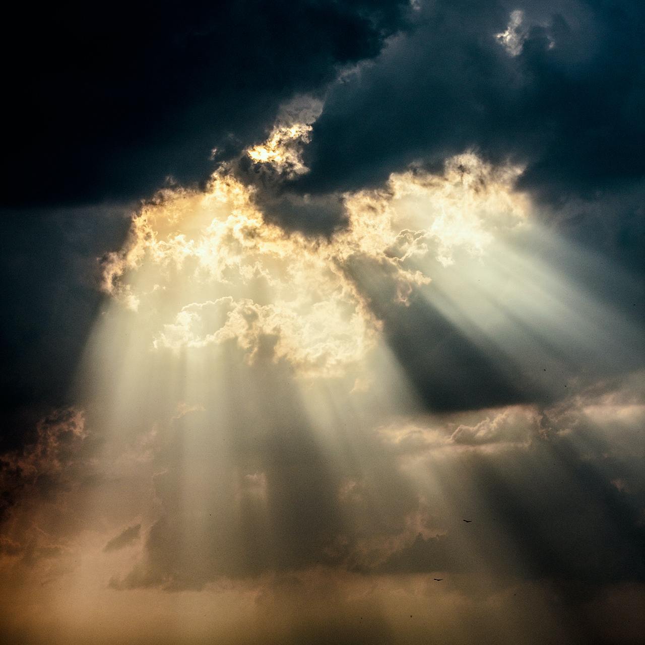 Towards the Light（降速版）