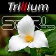 Trillium