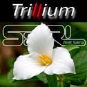 Trillium专辑