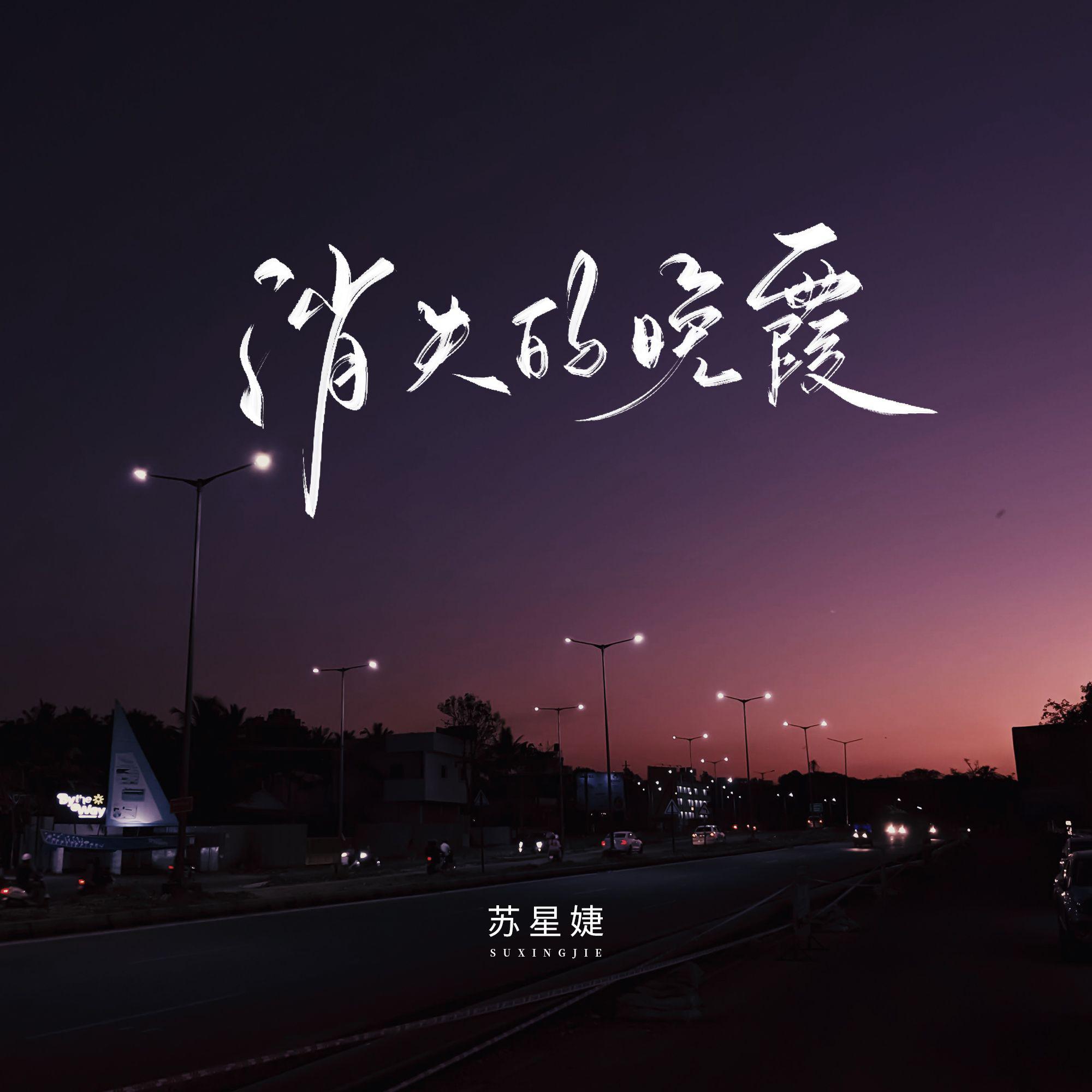 苏星婕歌曲封面