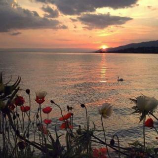 轻音乐 | 只有你让我束手无策