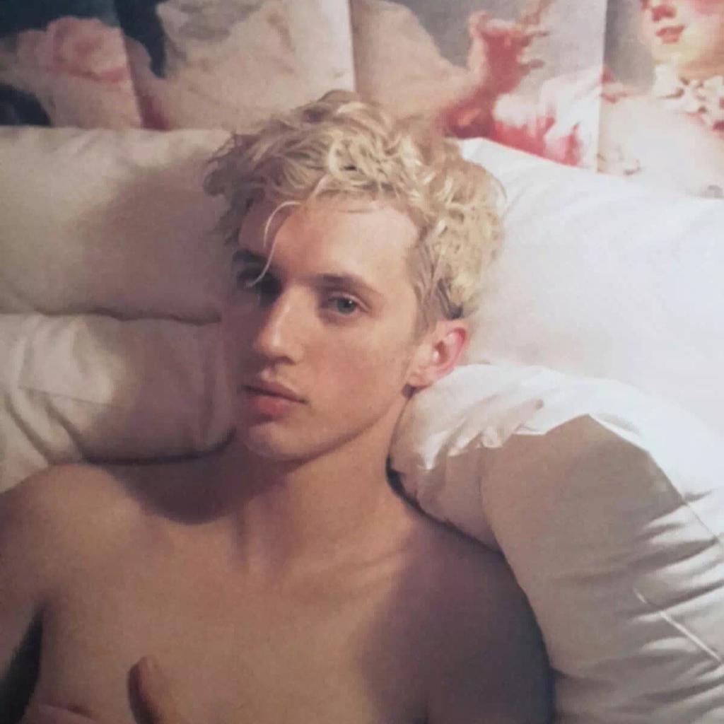 戳爷就是 — Troye Sivan