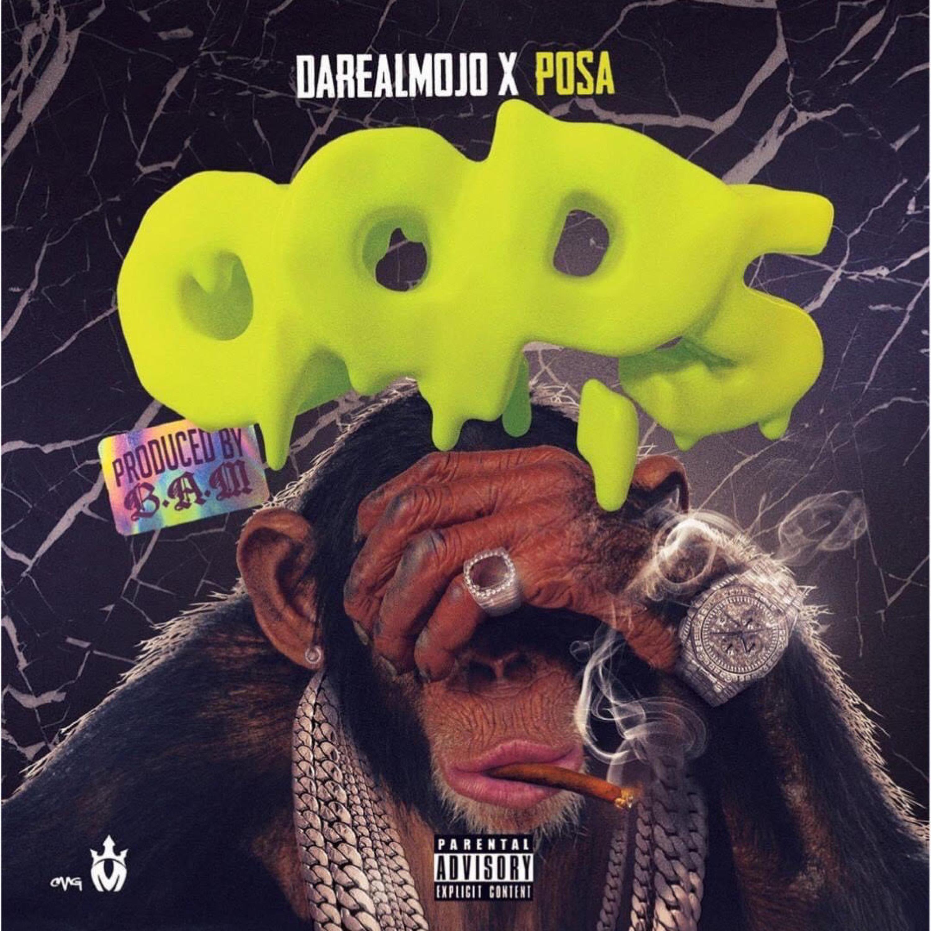 OOPS (feat. POSA) [RADIO EDIT] (RADIO EDIT)