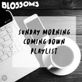 Blossoms - Sunday Morning Coming Down