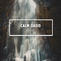 #12 Calm Oasis Sounds for Mindfulness专辑