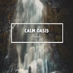 #12 Calm Oasis Sounds for Mindfulness专辑