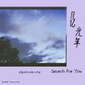 几亿光年（Search for you ）