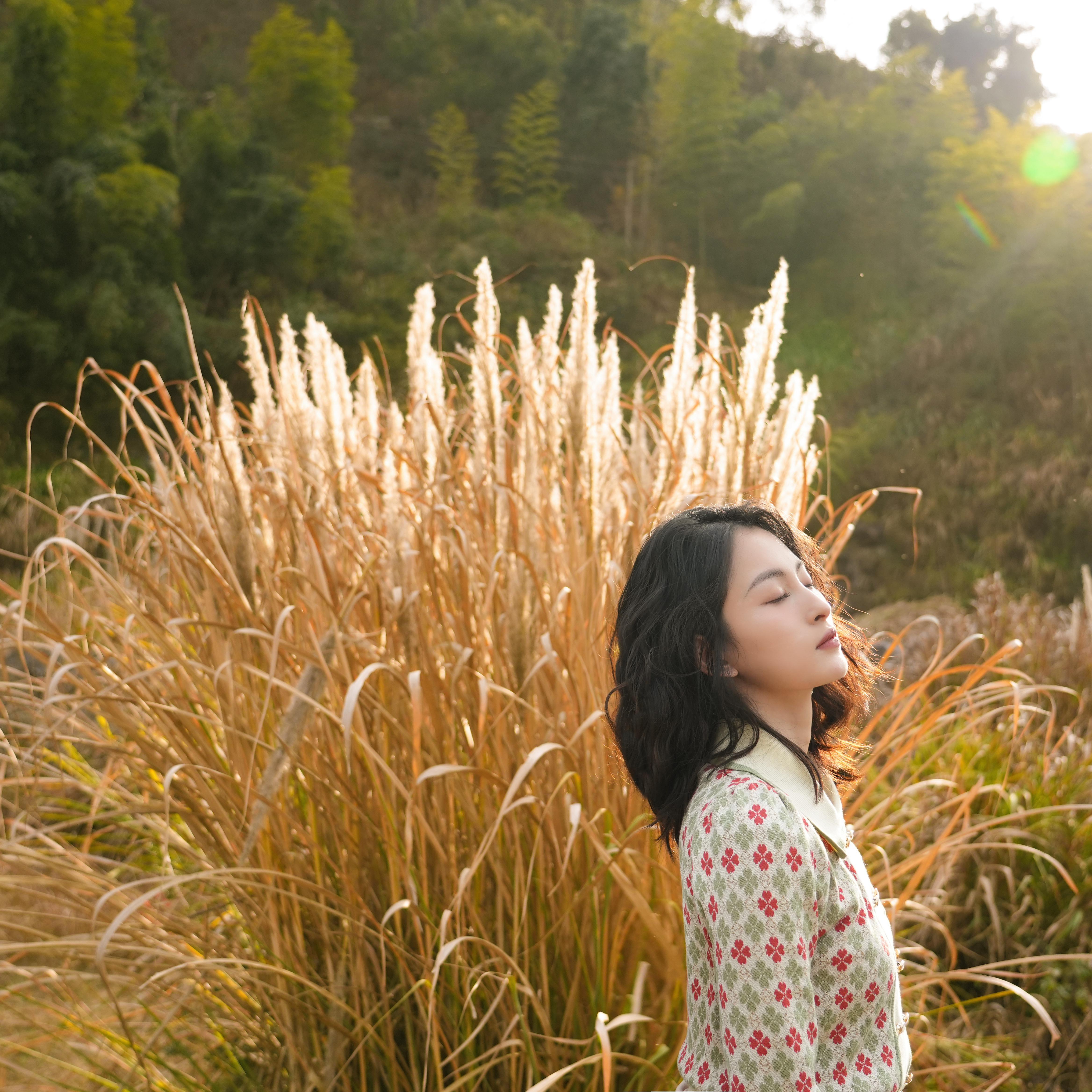 青玉案·元夕-吕林