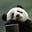 东方倾听者