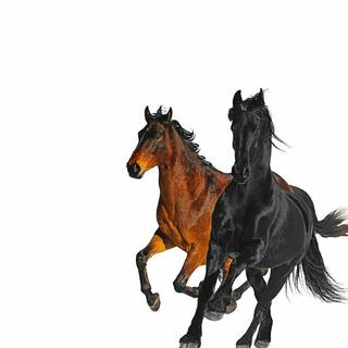 Old Town Road 大合集