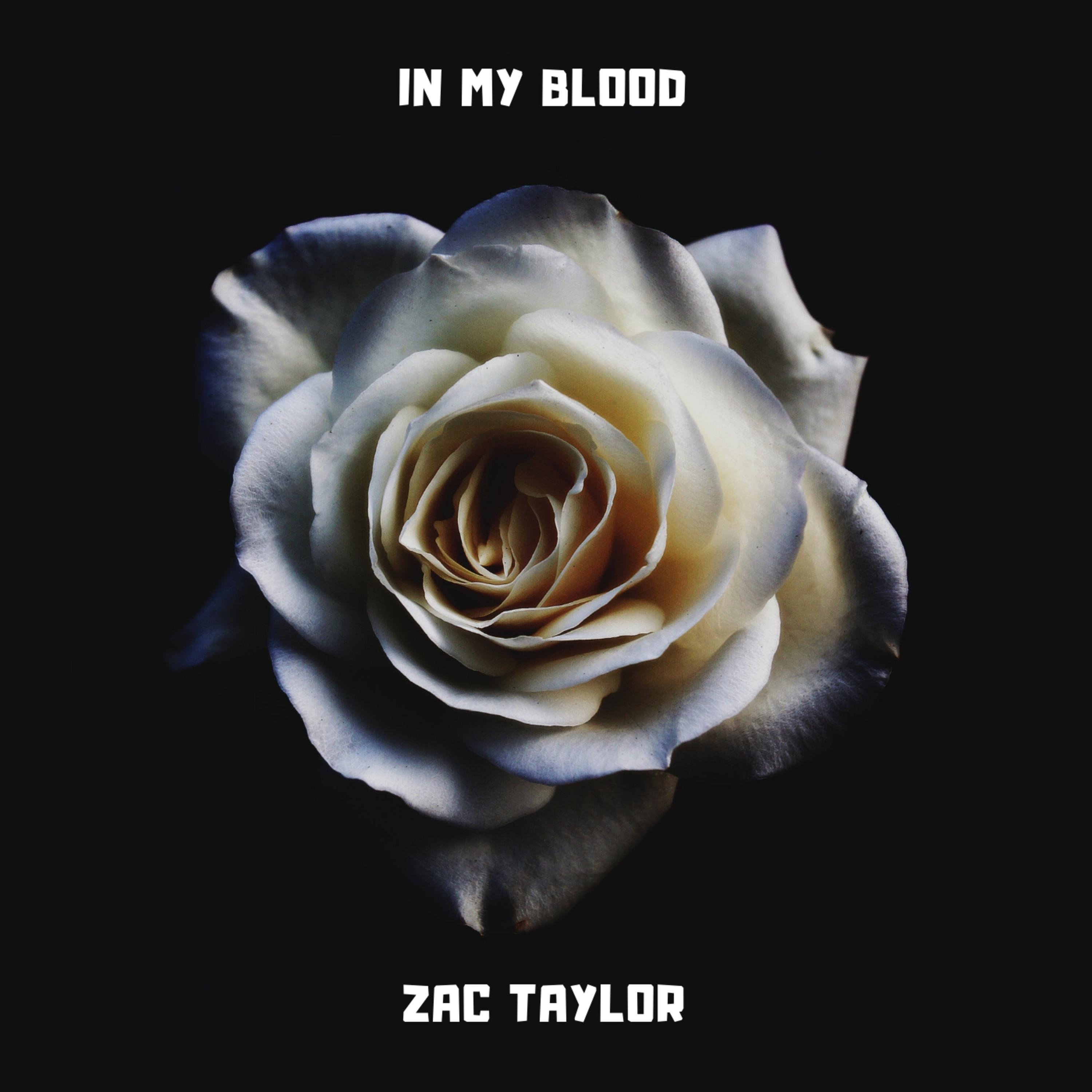 In My Blood