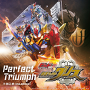 Perfect Triumph (Movie ver.)专辑